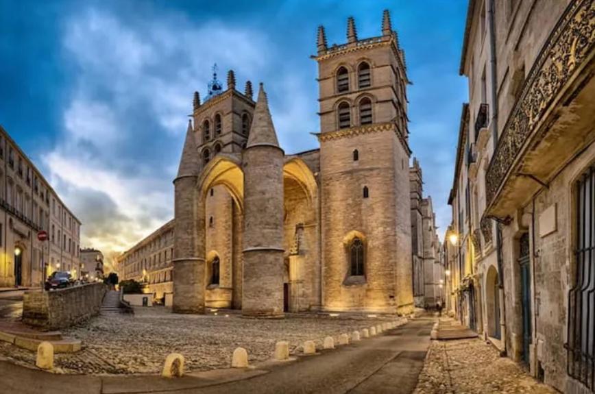 Place De La Comedie - Magnifique T2 Au Calme Montpellier Exteriör bild